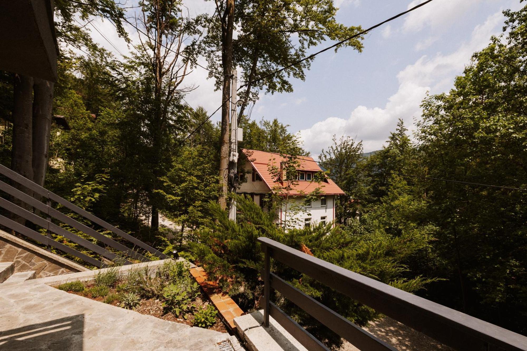 Apartament Forest Private With Balcony & Parking - Hublou 3 *
