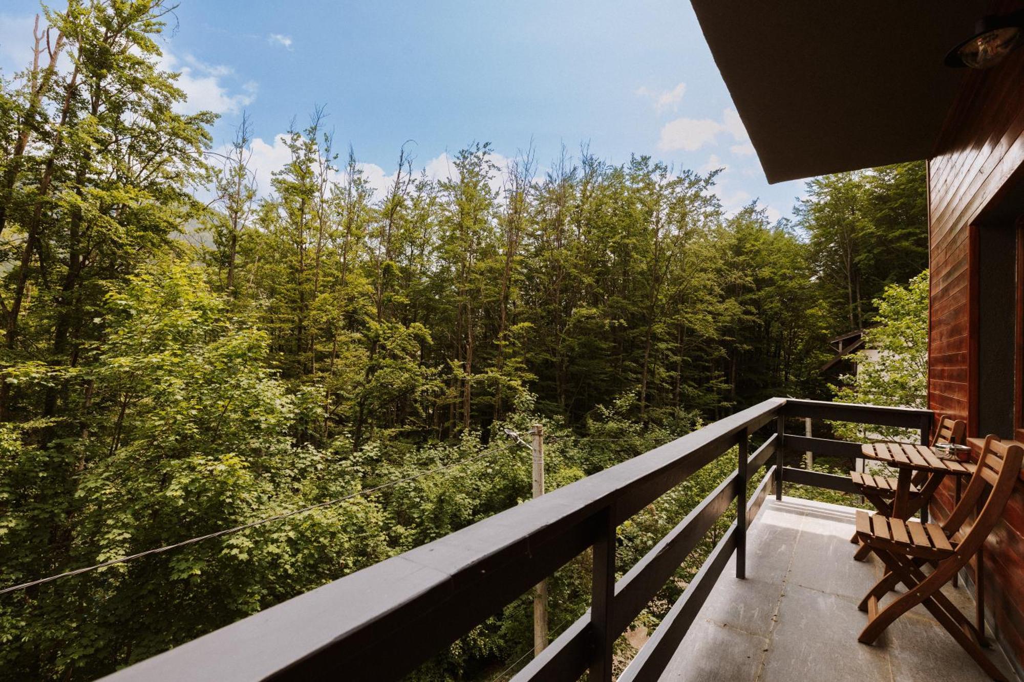 Forest Private With Balcony & Parking - Hublou 3 * Sinaia