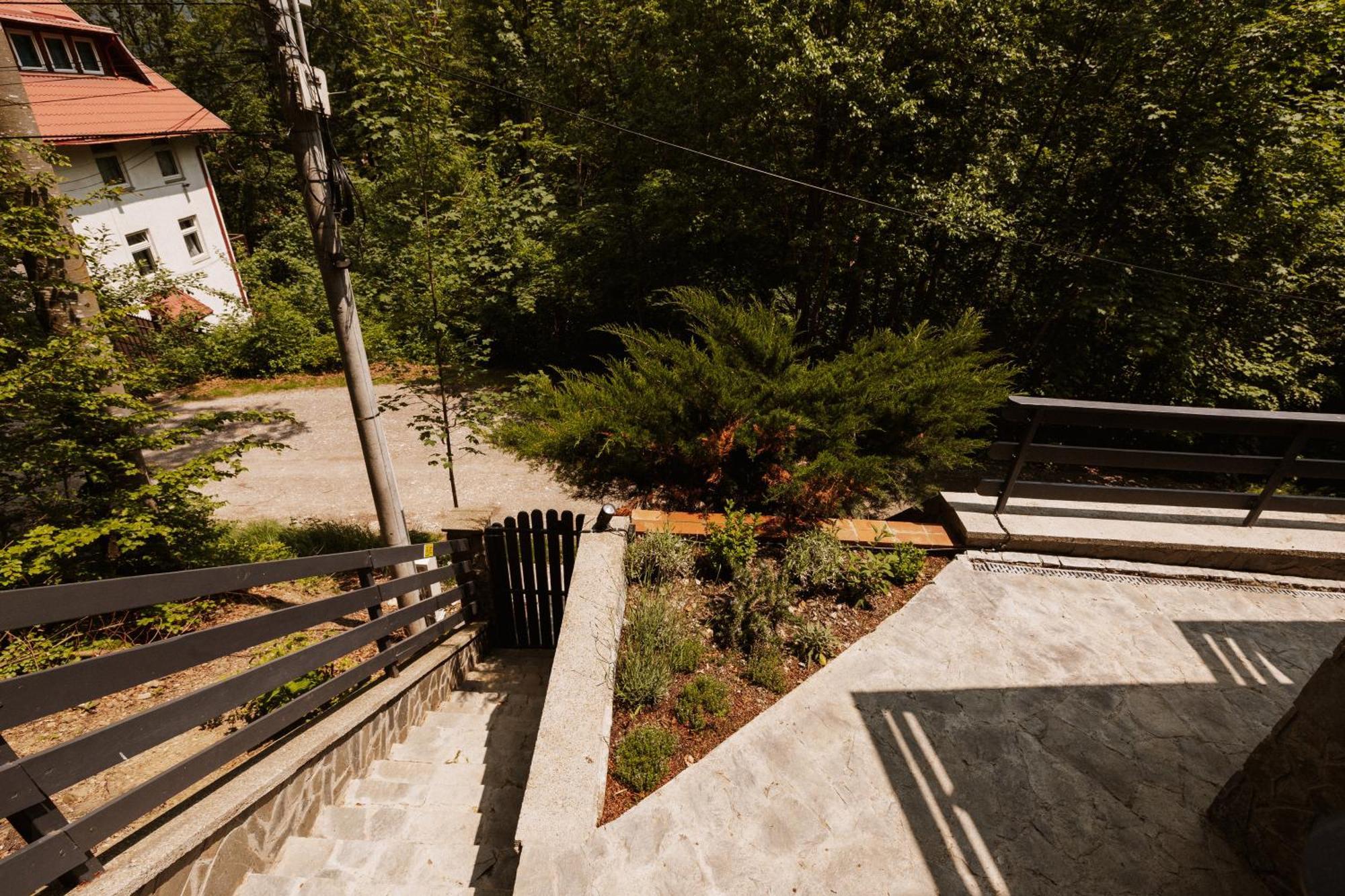 Forest Private With Balcony & Parking - Hublou 3 * Sinaia